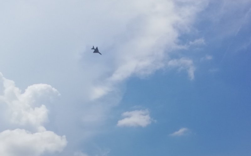 MIG 21 Lancer, prăbușit la Feteşti, în timpul unui show aviatic