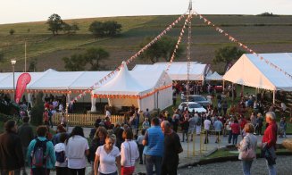 Peste 5000 de spectatori, oaspeți regali și premii de 150.000 de lei. Salina Equines Horse Trophy, la finalul celei de-a treia ediții