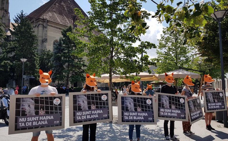 "Nu sunt haina ta de blană!". Demonstraţie cu măști de vulpe la Cluj