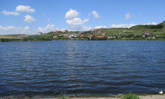 Plopii de pe marginea lacul Chinteni, făcuți una cu pământul. Garda de Mediu face verificări, Primăria spune că totul e legal
