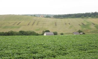 Mesaj anti-PSD scris pe un deal din Cluj: Fermierul spune că Poliţia i-a sugerat să îl şteargă