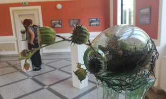 Plante cu rădăcini de sticlă, la Cluj