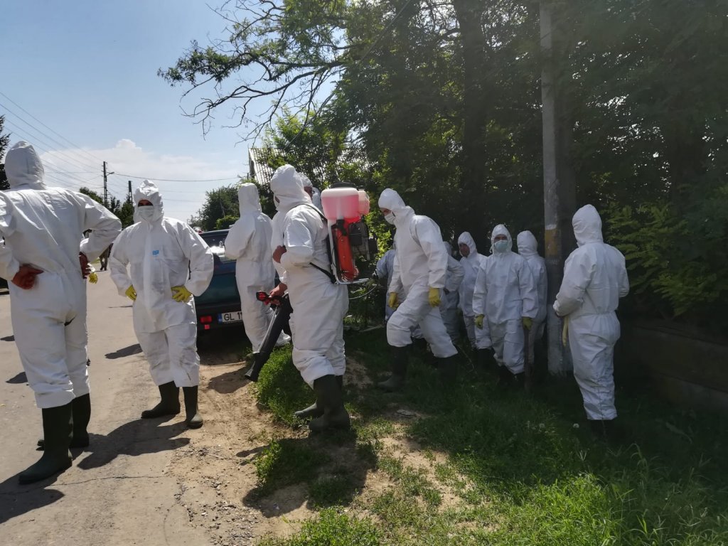 Incineratorii de la Protan, în faliment. Unitatea din Dej e implicată în scandalul pestei porcine