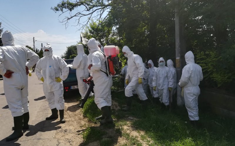 Incineratorii de la Protan, în faliment. Unitatea din Dej e implicată în scandalul pestei porcine