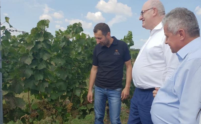 Comisarul european Phil Hogan, pe dealurile Durgăului din Cluj