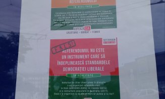 Campanie pentru referendum pe străzile Clujului. Cine este în spatele iniţiativei