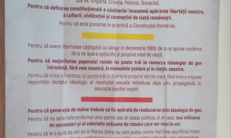 Campanie pentru referendum pe străzile Clujului. Cine este în spatele iniţiativei