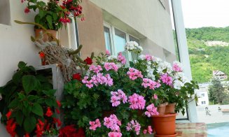 Clujul cu Flori. Cum arată cele mai frumoase ferestre, balcoane, faţade şi curţi din oraş FOTO