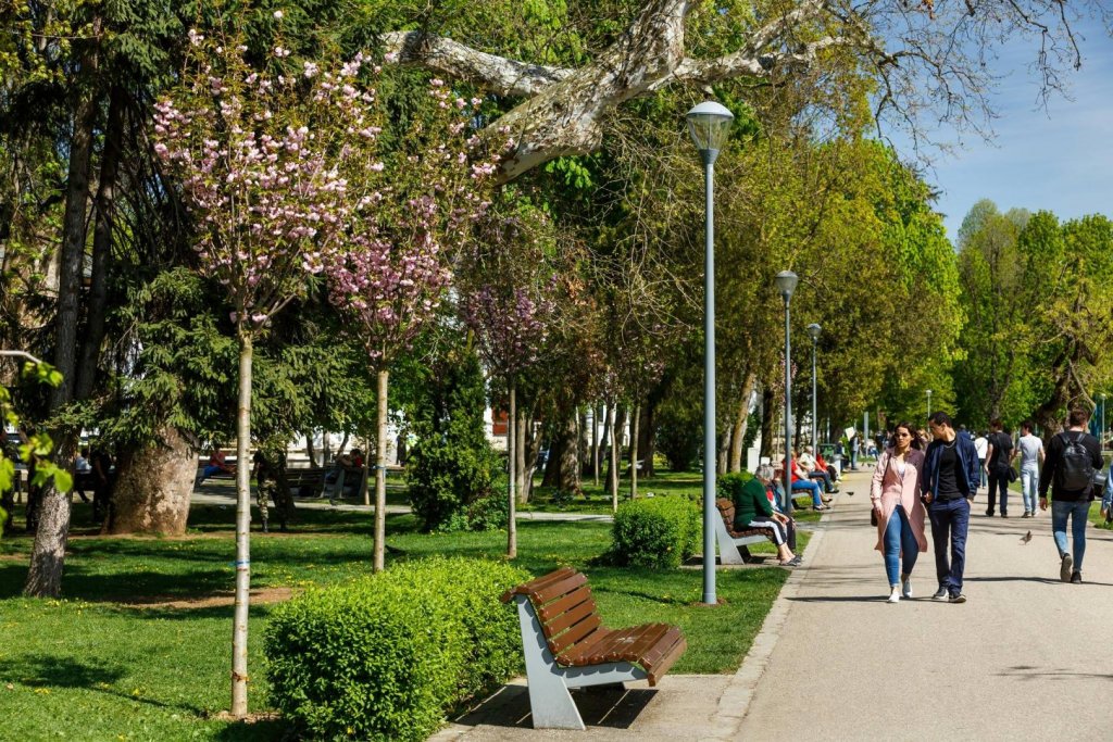 Senator de Cluj: Proiectul legii spaţiilor verzi a primit avizul pozitiv de la Comisia pentru mediu a Senatului