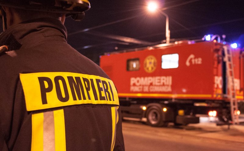 Incendiu de vegetaţie în Hoia, stins după 6 ore