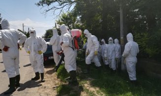 Alertă! Focare noi de pestă porcină, într-un judeţ vecin Clujului