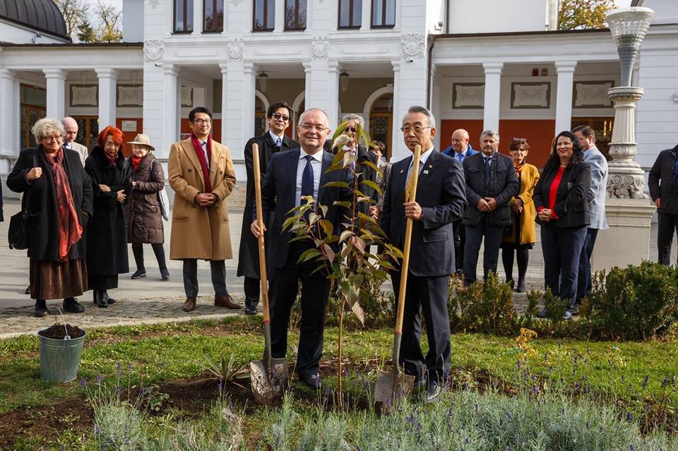 100 de cireși japonezi pentru Cluj-Napoca