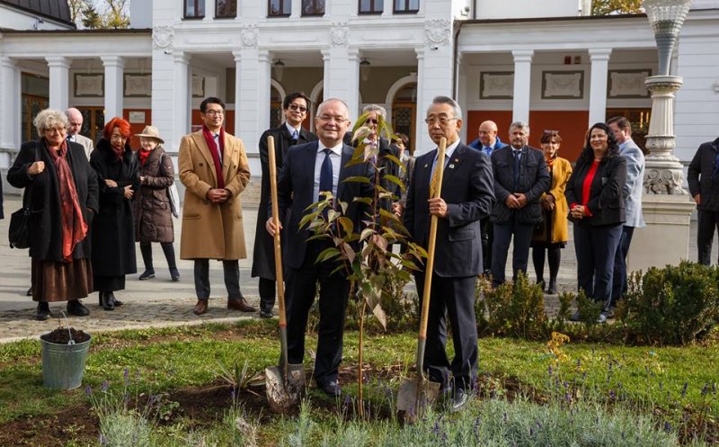 100 de cireși japonezi pentru Cluj-Napoca