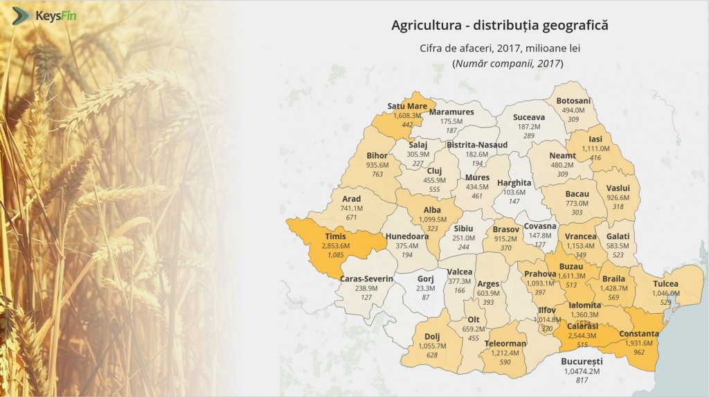 Clujul face o jumătate de miliard de lei pe an din agricultură