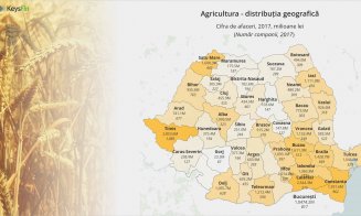 Clujul face o jumătate de miliard de lei pe an din agricultură