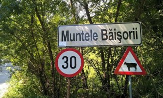 Indicatoare rutiere noi pe drumul spre Muntele Băişorii