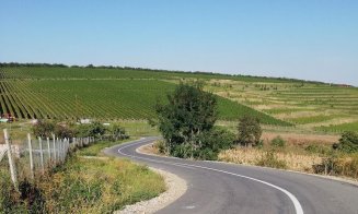 Marcaje rutiere pe 27 km de drumuri din Cluj