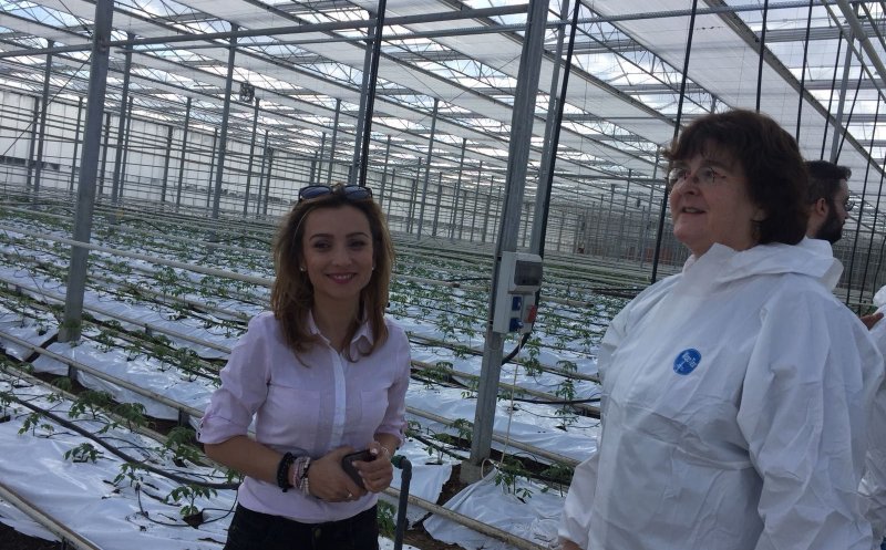 A lăsat Franța pentru ferma bio de la Căpușu