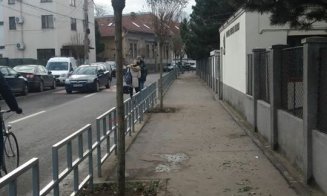 Încă un proiect din programul Bugetare participativă, implementat la Cluj. Unde se pleantează peste 200 de copaci