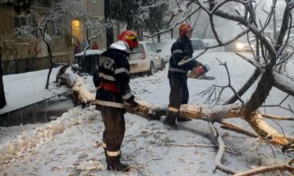 Ninsoarea și viscolul fac ravagii în România. Zeci de localități, fără electricitate, copaci și stâlpi de tensiune doborâți, mașini blocate în nămeți