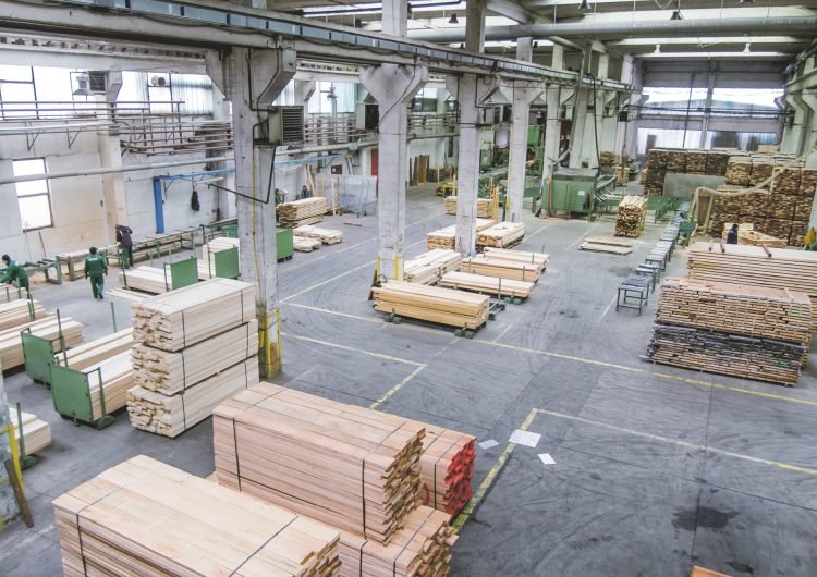 Modernizarea spațiilor de producție și achiziția de echipamente de ultimă generație