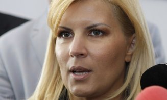 Elena Udrea, atac la Iohannis: Este creația sistemului