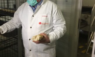 Clujul va avea cea mai modernă fabrică de pâine din Europa. Investiții de 50 de milioane de euro
