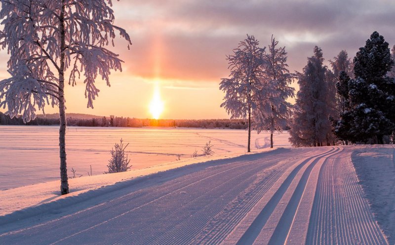 Veşti de la meteorologi. Ce se întâmplă cu "primăvara" din februarie