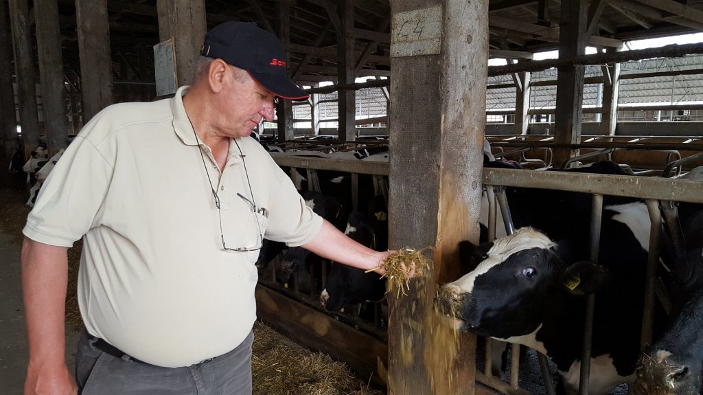 Un producător de lactate din Ialomița atacă piața Clujului cu bani de la Banca Transilvania