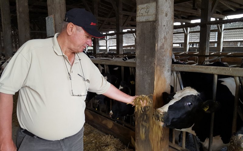 Un producător de lactate din Ialomița atacă piața Clujului cu bani de la Banca Transilvania