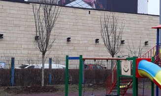 Înverzeşte Clujul. Plantări de gard viu la scările de bloc şi arbori pe străzi, dar şi în curţile şcolilor şi grădiniţelor
