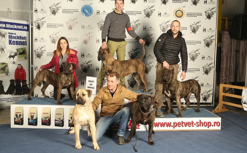 Dog Show la Polivalenta din Cluj