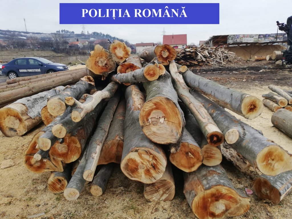 Amenzi de zeci de mii de lei pentru nereguli la vânzarea lemnelor