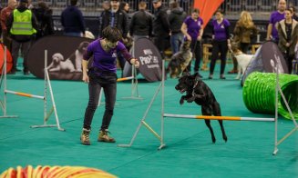 Câini poliţişti în acţiune, blănoşi la expoziţie şi urechiaţi agili pe trasee sportive. Napoca Dog Show