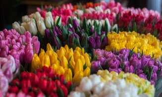 Afacerile cu flori, în "plină floare". Peste 20 de milioane de euro, pe buchetele de 8 Martie