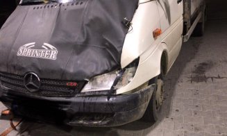 Atenție, bivoli pe un drum din Cluj!  O dubă "şifonată" după ce a lovit unul