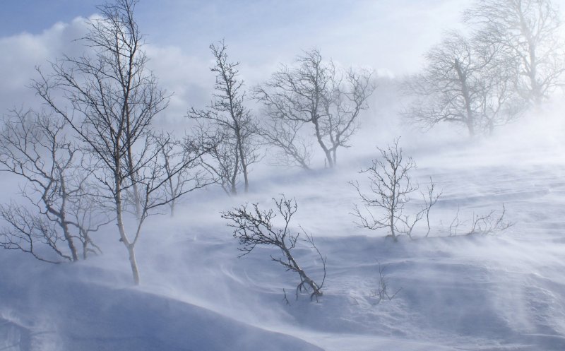 COD GALBEN de ninsori şi vânt în zona de munte. Şi la Cluj