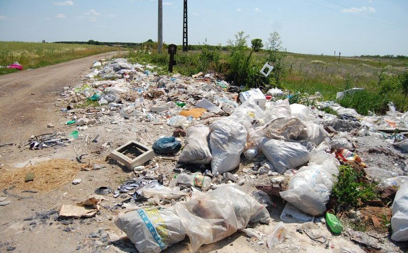 51 de tone de gunoi în Borhanci. Tarcea: "Noi avem o mare problemă de educaţie"