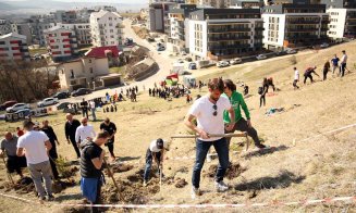 “Pădurea ‘U’nor inimi românești”. Suporterii Universităţii plantează primii arbori