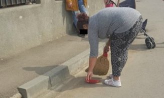 Ce poţi păţi în Cluj dacă arunci coji de seminţe pe stradă