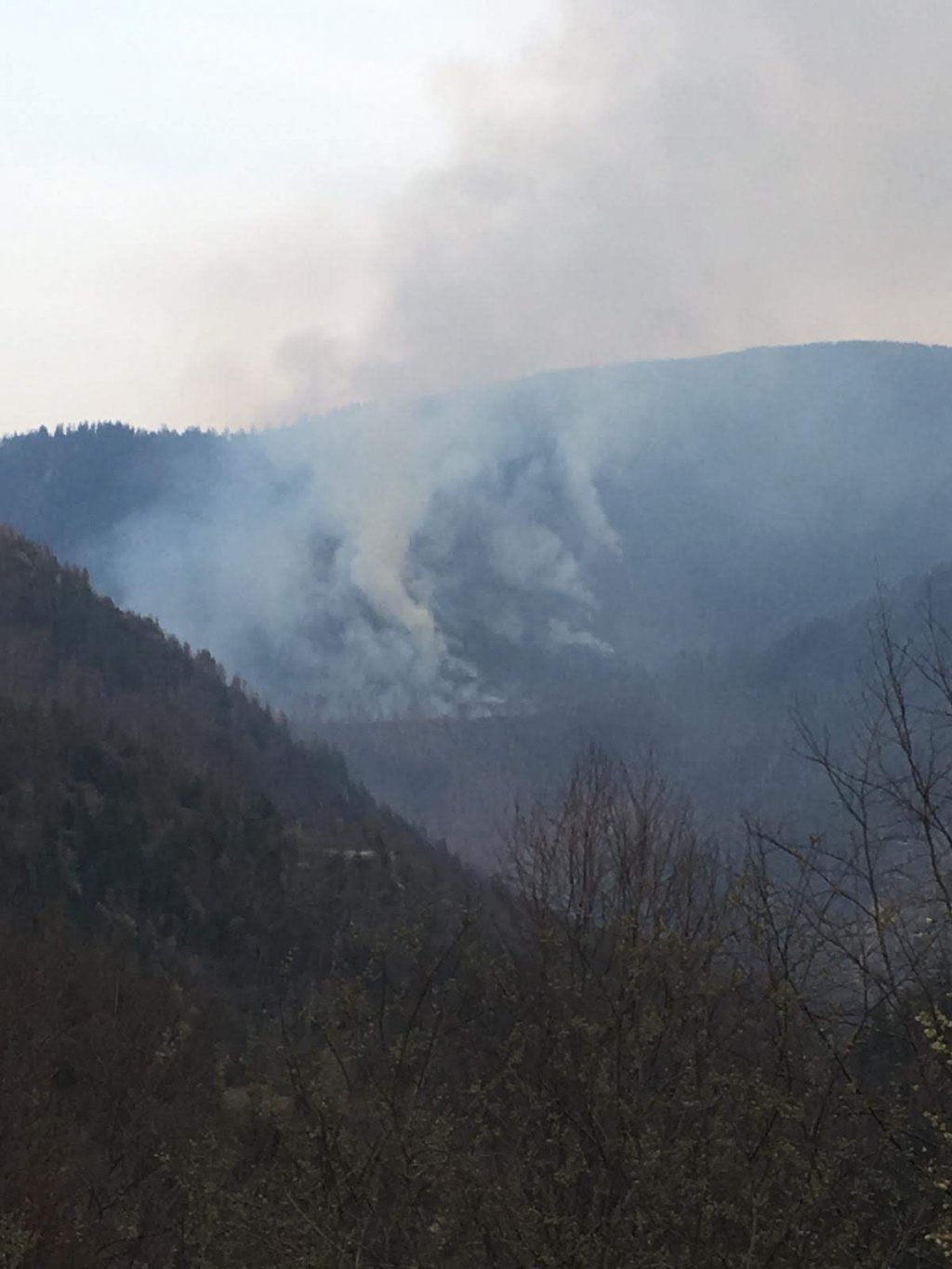 Incendiu pe 20 de hectare de pădure din Cluj. Pompierii intervin de câteva ore