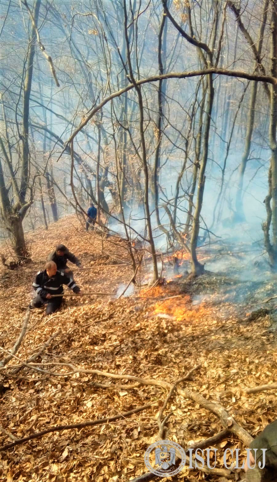 Cluj: 70 de incendii de vegetaţie, în 7 zile