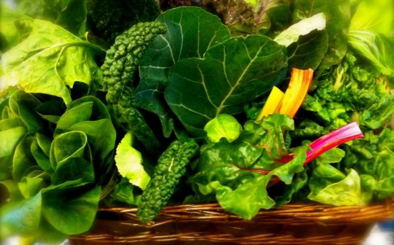 5 verdeţuri pentru dieta de primăvară