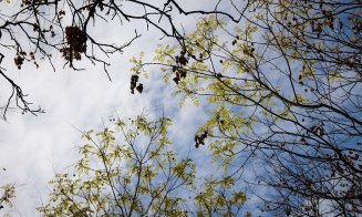 Vești proaste de la meteorologi. Ce se întâmplă cu temperaturile în următoarele zile