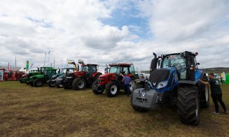 Vacile zburătoare de la Agraria