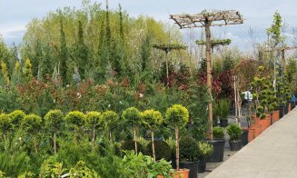 Soluţii complete pentru spaţii exterioare, în cel mai "european" Garden Center din Cluj