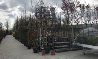 Soluţii complete pentru spaţii exterioare, în cel mai "european" Garden Center din Cluj