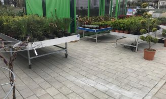 Soluţii complete pentru spaţii exterioare, în cel mai "european" Garden Center din Cluj