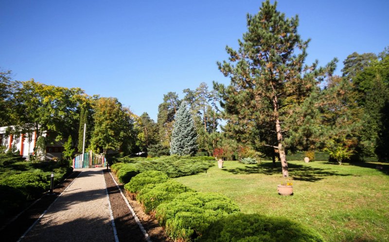 Mini-biblioteci într-un parc din Cluj
