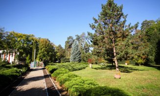 Mini-biblioteci într-un parc din Cluj